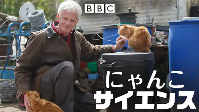にゃんこサイエンス