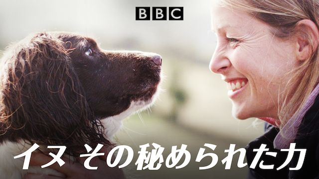 イヌ その秘められた力