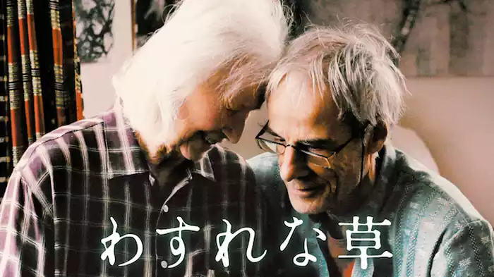 わすれな草