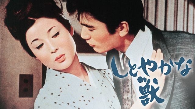 しとやかな獣(邦画 / 1962) - 動画配信 | U-NEXT 31日間無料