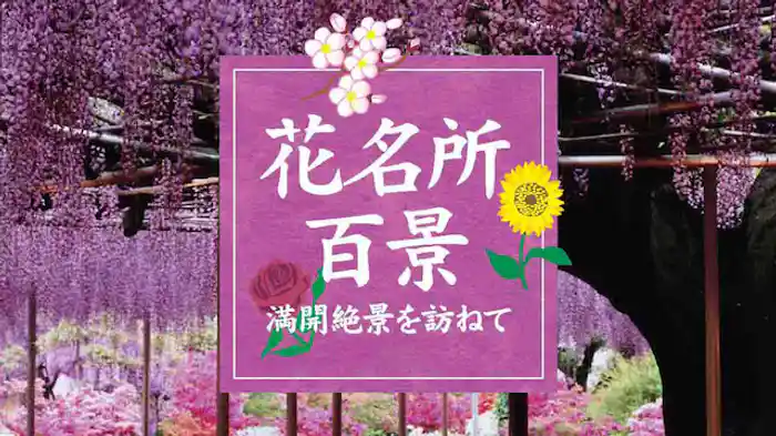 花名所百景 満開絶景を訪ねて/映像遺産・ジャパントリビュート