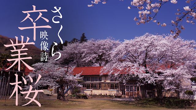 卒業桜 さくら映像詩