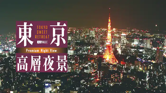 東京高層夜景