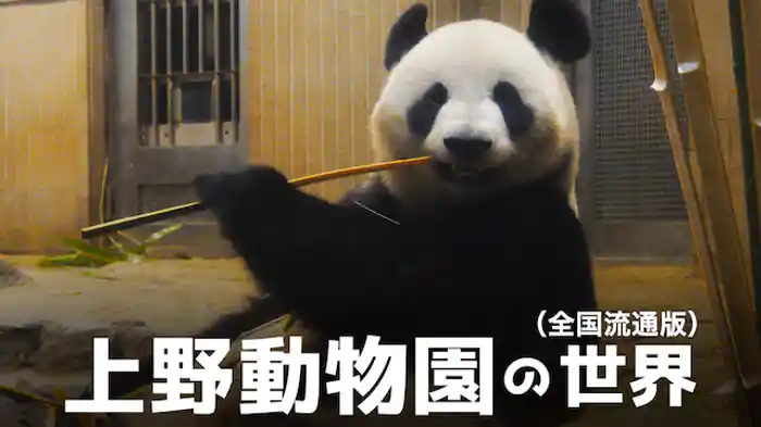 上野動物園の世界（全国流通版）