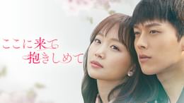 ここに来て抱きしめて(韓流・アジア / 2018) - 動画配信 | U-NEXT 31