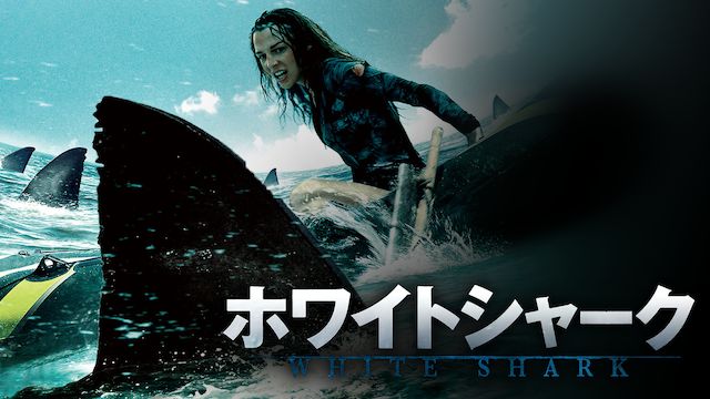 ホワイトシャーク