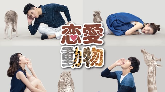 恋愛動物