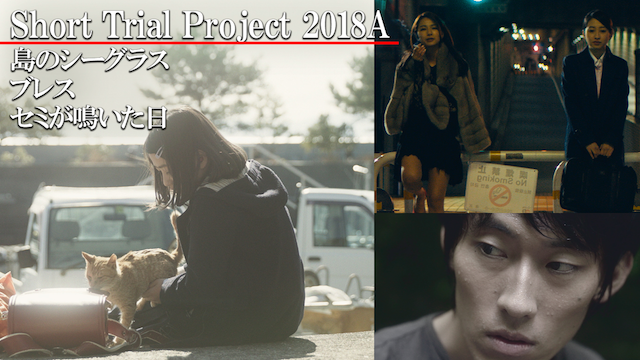 Short Trial Project 2018A /島のシーグラス/ブレス/セミが鳴いた日 - サムネイル