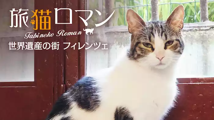 世界遺産の街 フィレンツェ 【旅猫ロマン】