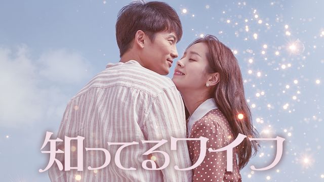 知ってるワイフ (韓国ドラマ)