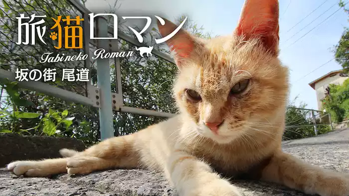坂の街 尾道 【旅猫ロマン】