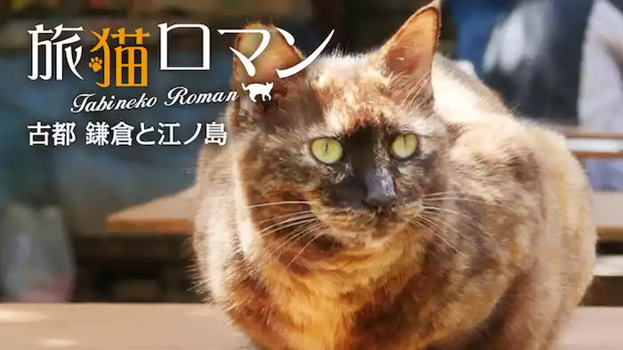 古都 鎌倉と江ノ島 【旅猫ロマン】