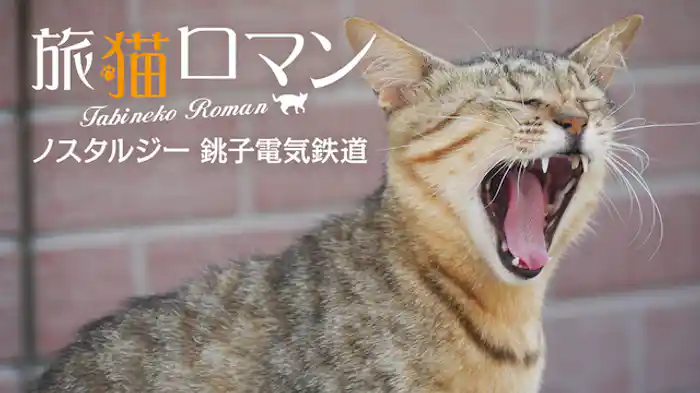 ノスタルジー　銚子電気鉄道 【旅猫ロマン】