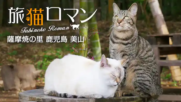 薩摩焼の里 鹿児島 美山 【旅猫ロマン】