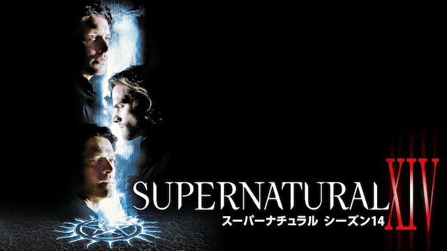 SUPERNATURAL スーパーナチュラル シーズン14
