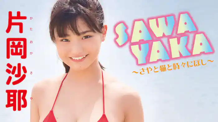 片岡沙耶『SAWAYAKA～さやと猫と時々にぼし～』