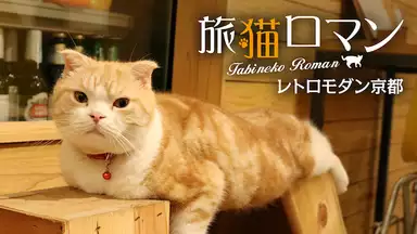 『旅猫ロマン レトロモダン京都』