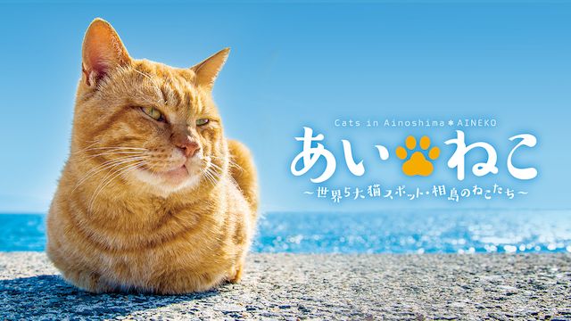 あいねこ 〜世界5大猫スポット・相島のねこたち〜