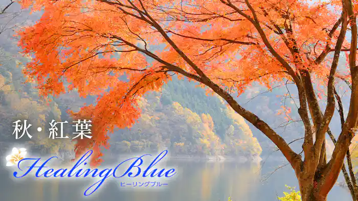 秋・紅葉【HealingBlue】