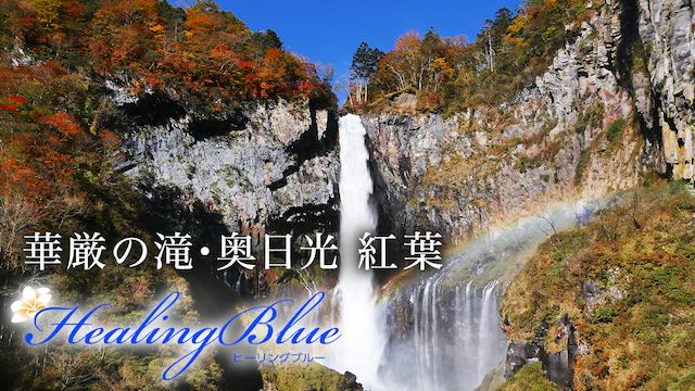 【HealingBlueヒーリングブルー】華厳の滝・奥日光 紅葉