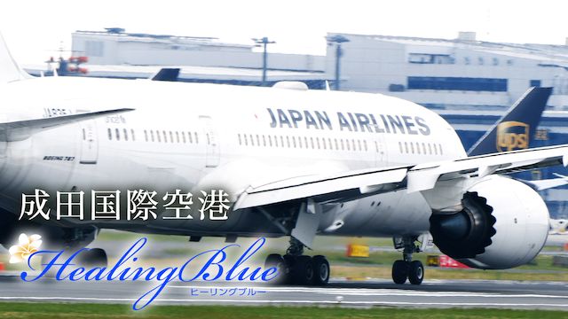 【HealingBlueヒーリングブルー】成田国際空港
