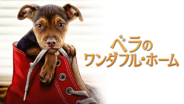 ベラのワンダフル・ホーム