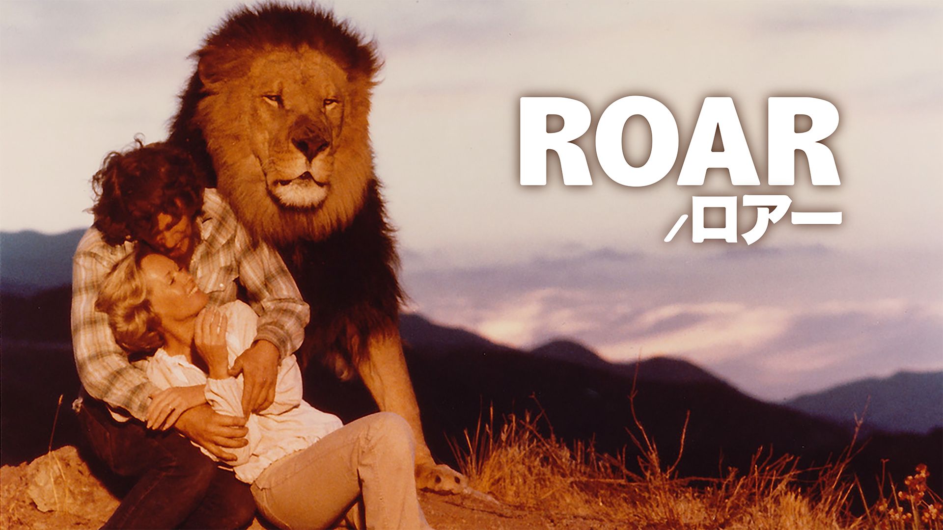 ROAR/ロアー