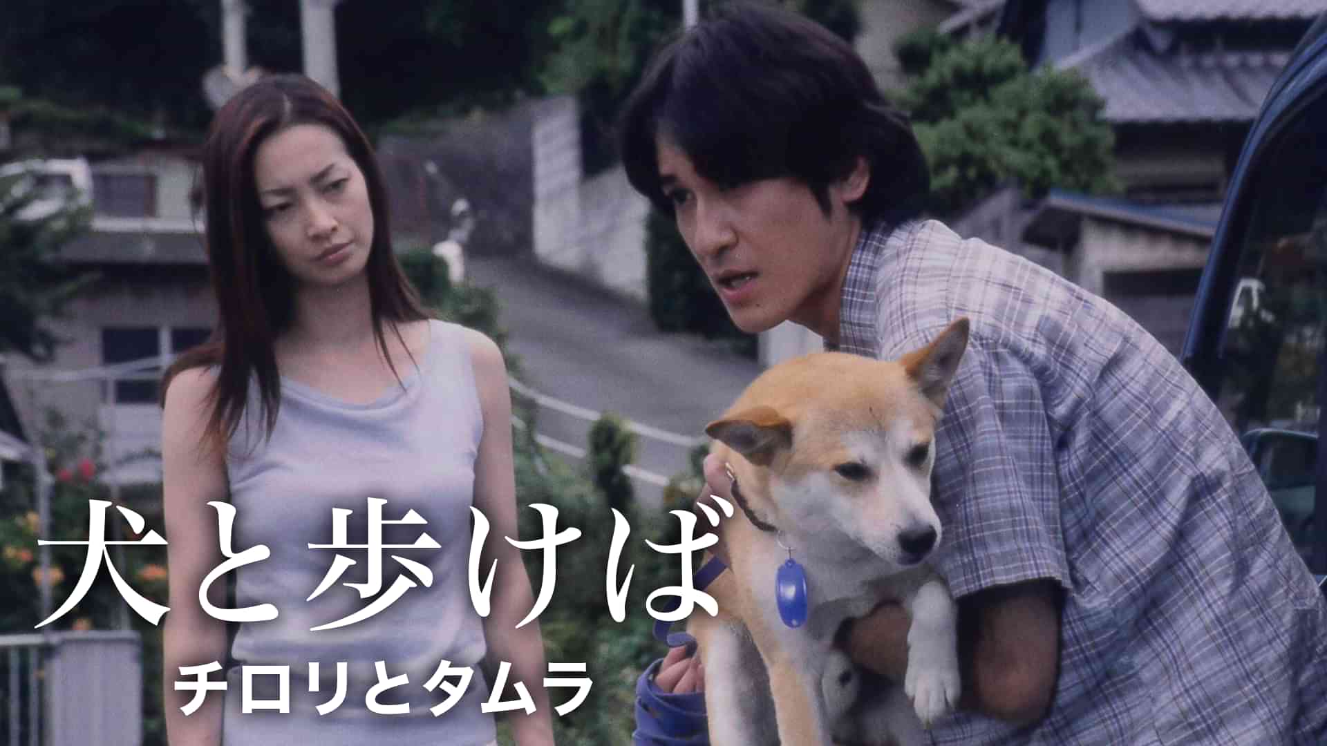 犬と歩けば　チロリとタムラ