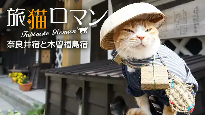 奈良井宿と木曽福島宿 【旅猫ロマン】