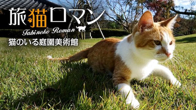 猫のいる庭園美術館