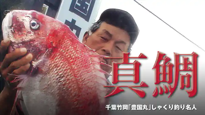 真鯛千葉竹岡「豊国丸」しゃくり釣り名人