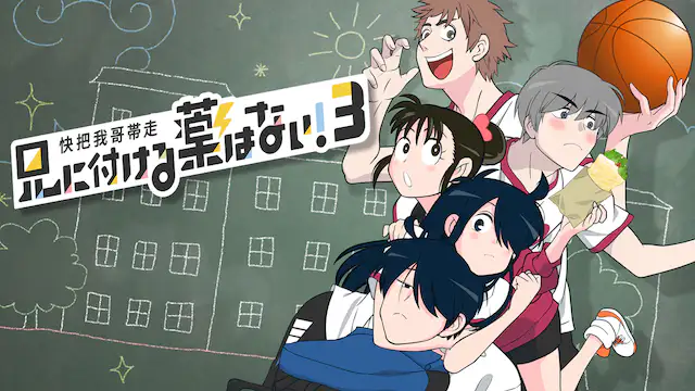 兄に付ける薬はない 3 快把我哥帯走3 アニメ無料動画を合法に視聴する方法まとめ あにぱや