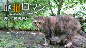 美しい村 軽井沢 【旅猫ロマン】
