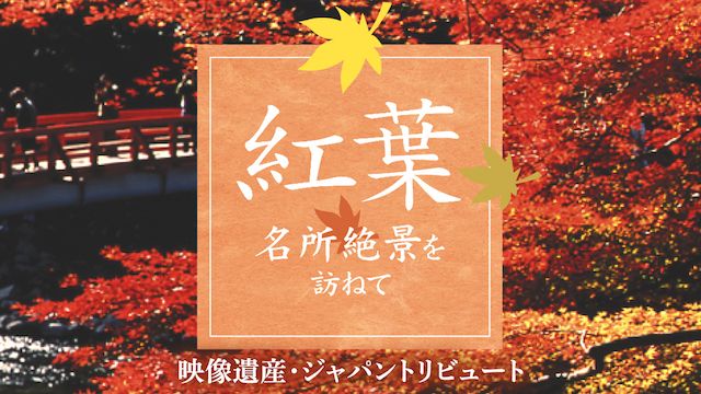 紅葉 名所絶景を訪ねて/映像遺産・ジャパントリビュート