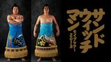 サンドウィッチマンライブツアー2013