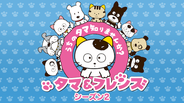 タマ＆フレンズ ～うちのタマ知りませんか？～ シーズン2 - サムネイル