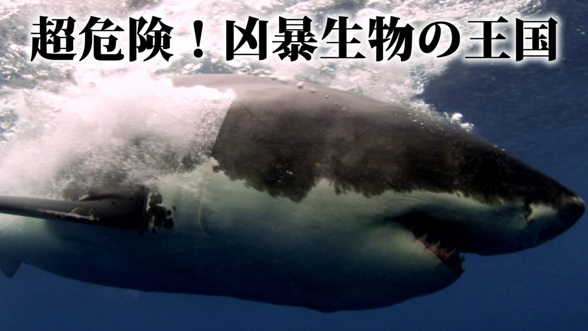 超危険！凶暴生物の王国のサムネイル