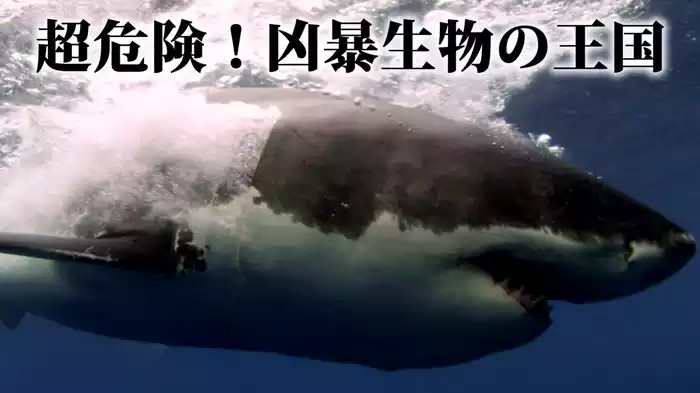 超危険！凶暴生物の王国