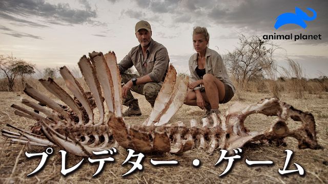 プレデター・ゲーム