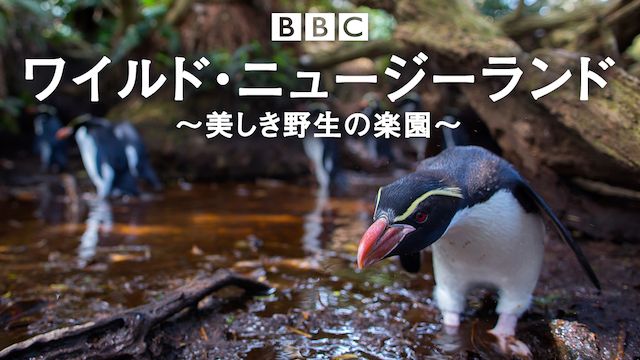 ワイルド・ニュージーランド〜美しき野生の楽園