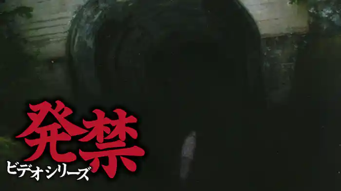 発禁ビデオシリーズ