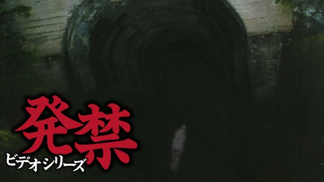 発禁ビデオシリーズ青木ヶ原樹海編