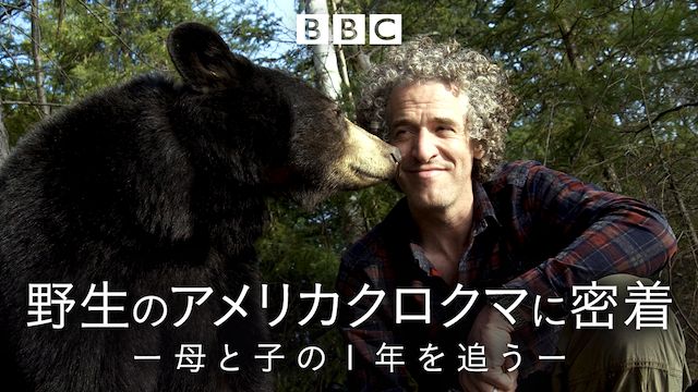 野生のアメリカクロクマに密着〜母と子の1年を追う 