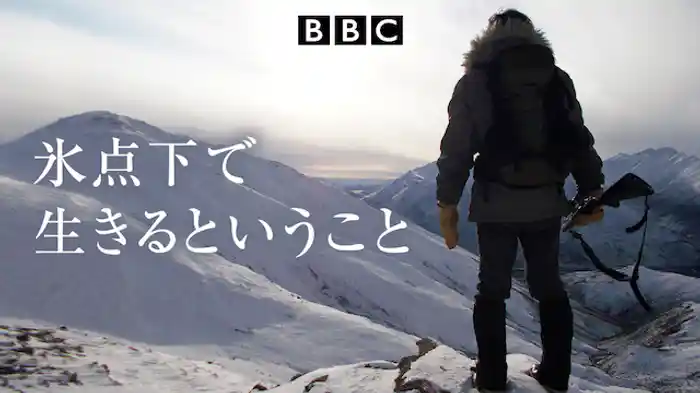 氷点下で生きるということ