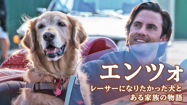 エンツォ レーサーになりたかった犬とある家族の物語