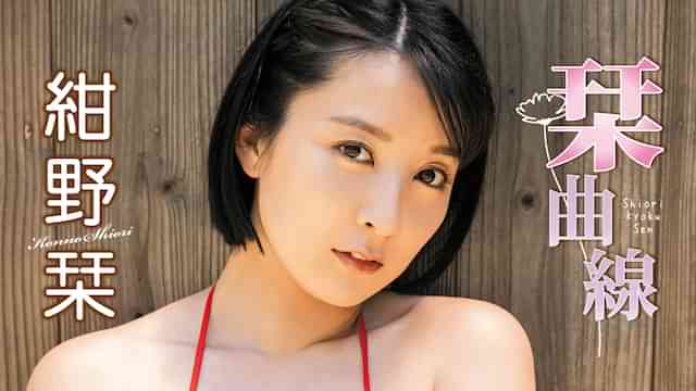 紺野栞『栞曲線』