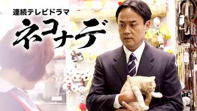 連続テレビドラマ　ネコナデ