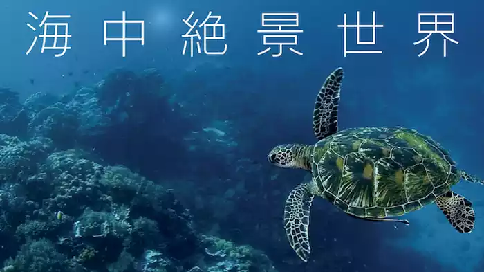 海中絶景世界