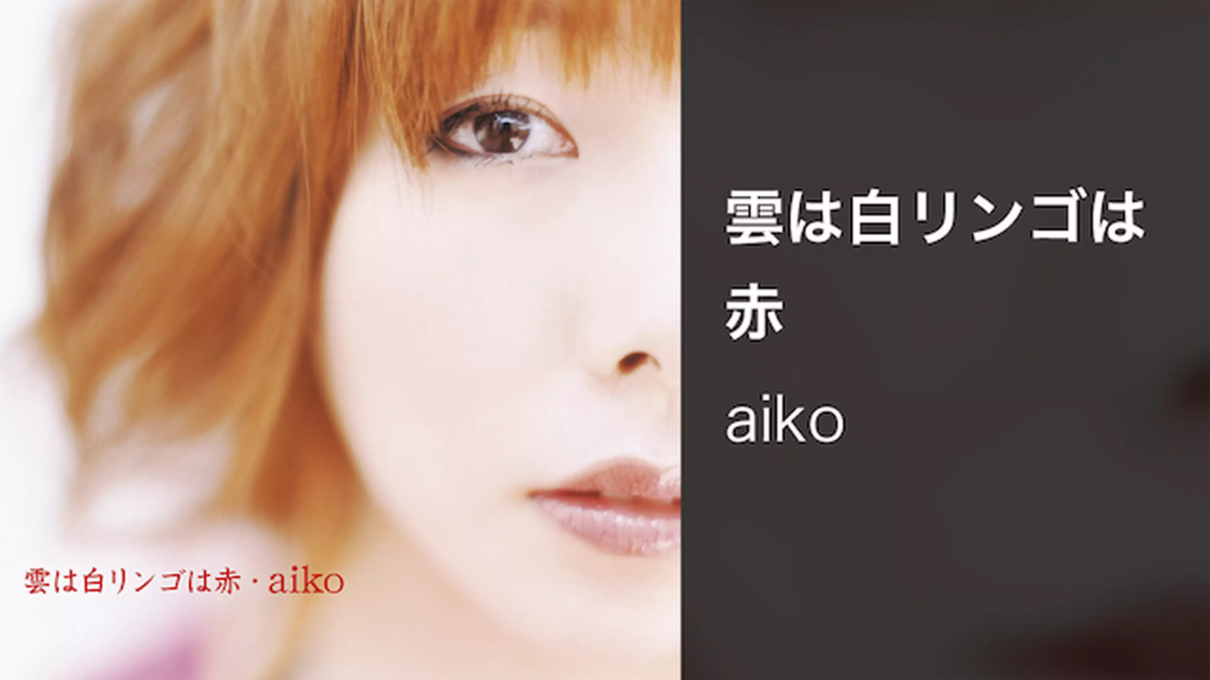 Aiko 愛され続けるシンガーソングライター