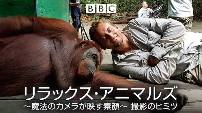 リラックス・アニマルズ～魔法のカメラが映す素顔～ 撮影のヒミツ